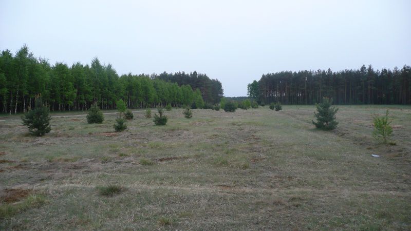 Działka rolna Kwieki