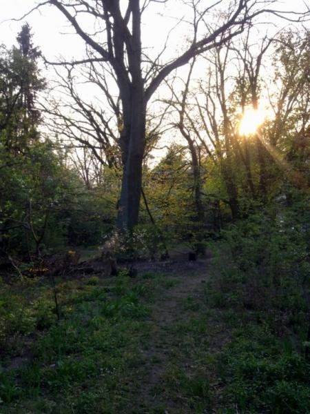 Działka budowlana Warszawa