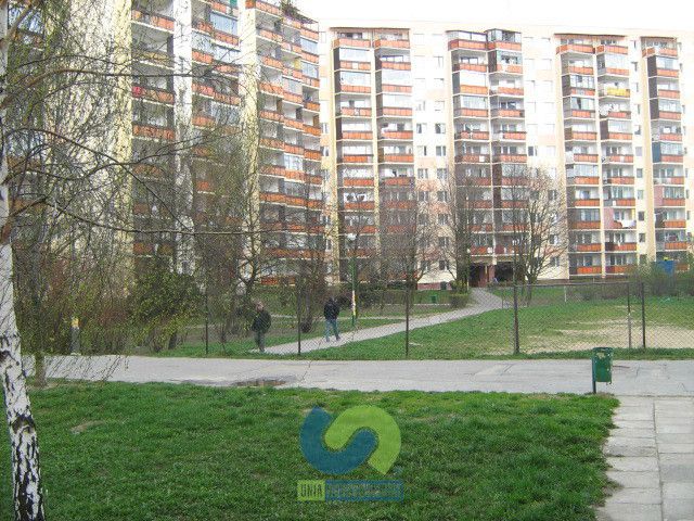 Lokal Warszawa
