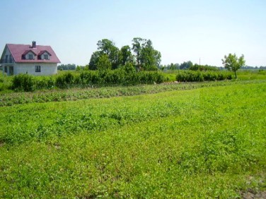 Działka budowlana Leszno