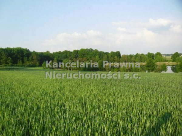 Działka budowlana Jeżewo