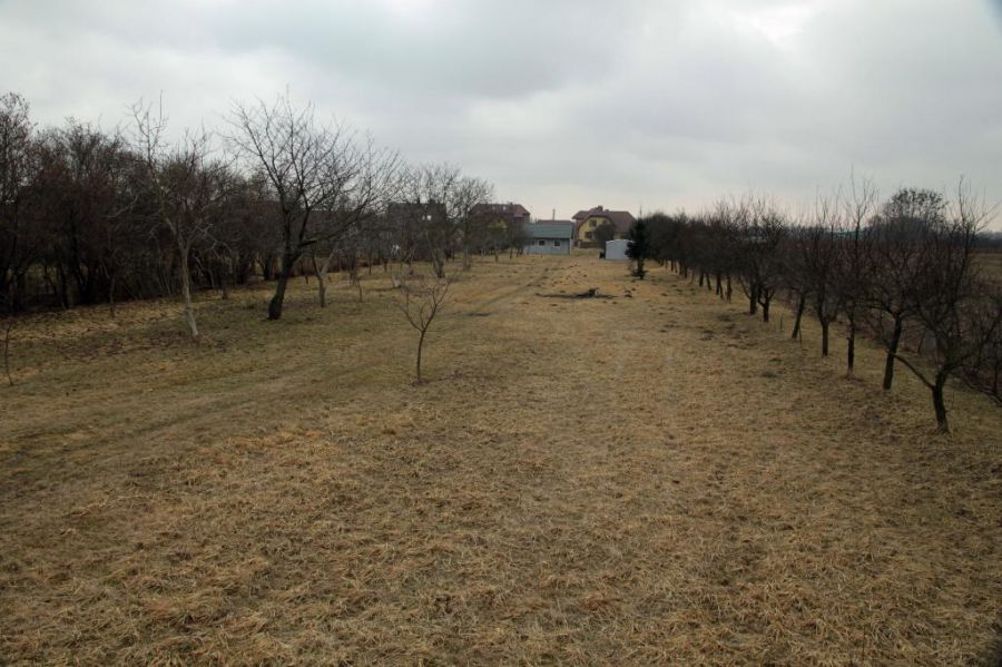 Działka Jelcz-Laskowice