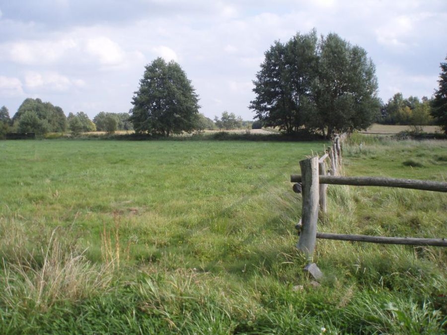 Działka Dębina