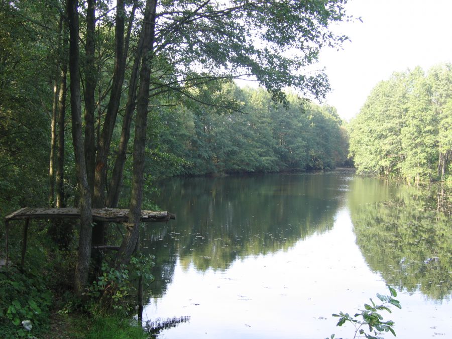 Działka rekreacyjna Koryciska