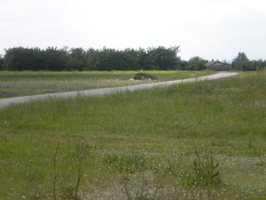 Działka budowlano-rolna Martynów