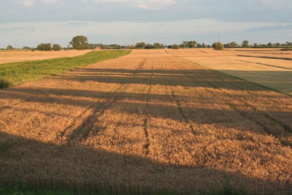 Działka budowlano-rolna Koszuty
