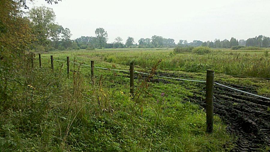Działka inwestycyjna Białowieża