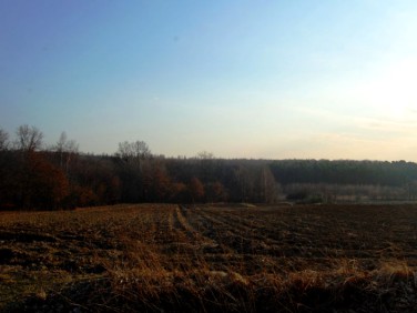 Działka budowlano-rolna Miechów