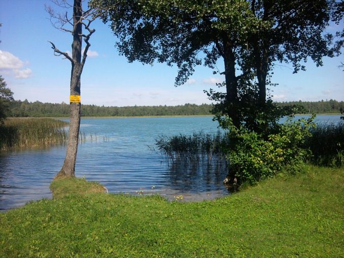 Działka rekreacyjna Gawrych-Ruda