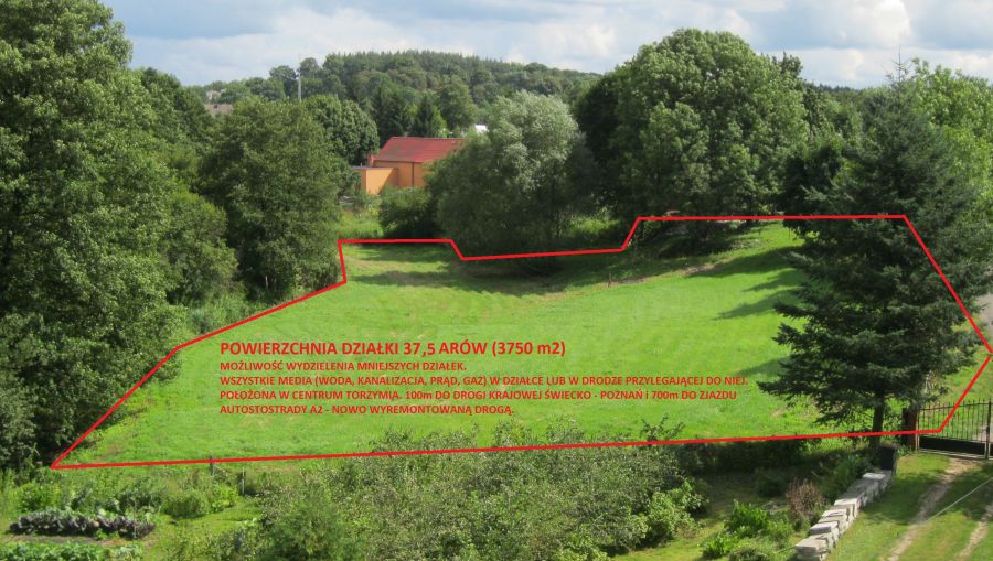 Działka Torzym