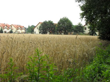 Działka budowlana Kiełczówek