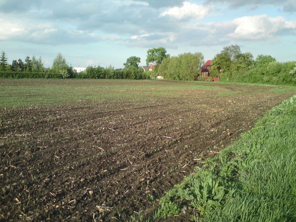 Działka budowlana Żerniki Wrocławskie sprzedam