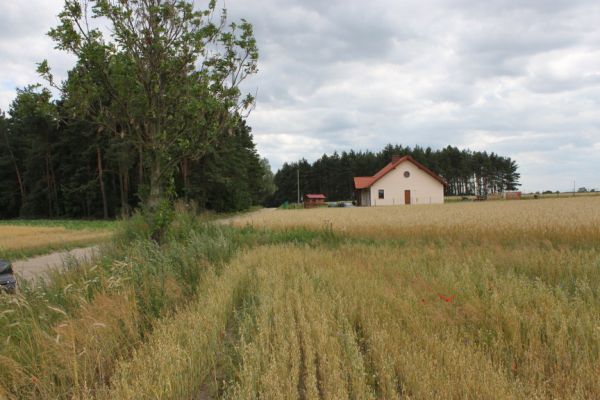 Działka budowlano-rolna Starogard Gdański