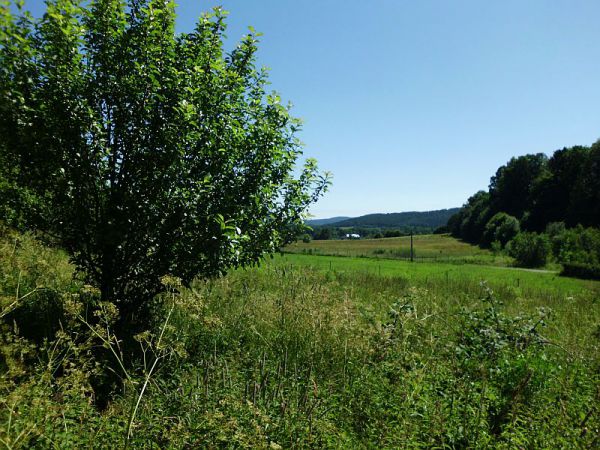 Działka budowlana Jelenia Góra