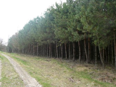 Działka budowlana Stare Kościeliska