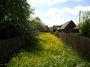 Działka budowlana Białowieża