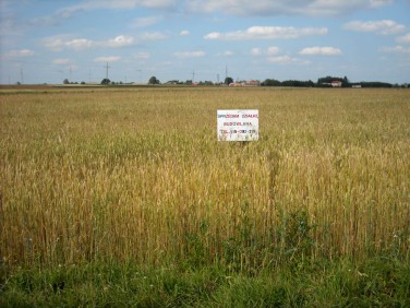 Działka budowlana Urbanice