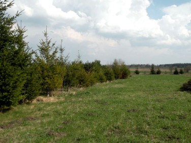 Działka budowlano-rolna Wymysły