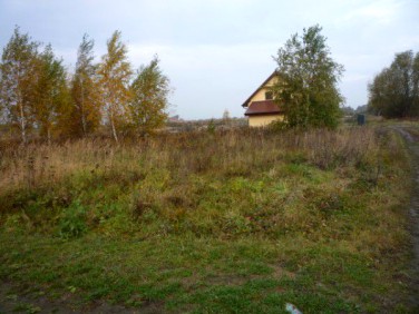 Działka budowlano-rolna Wilkszyn