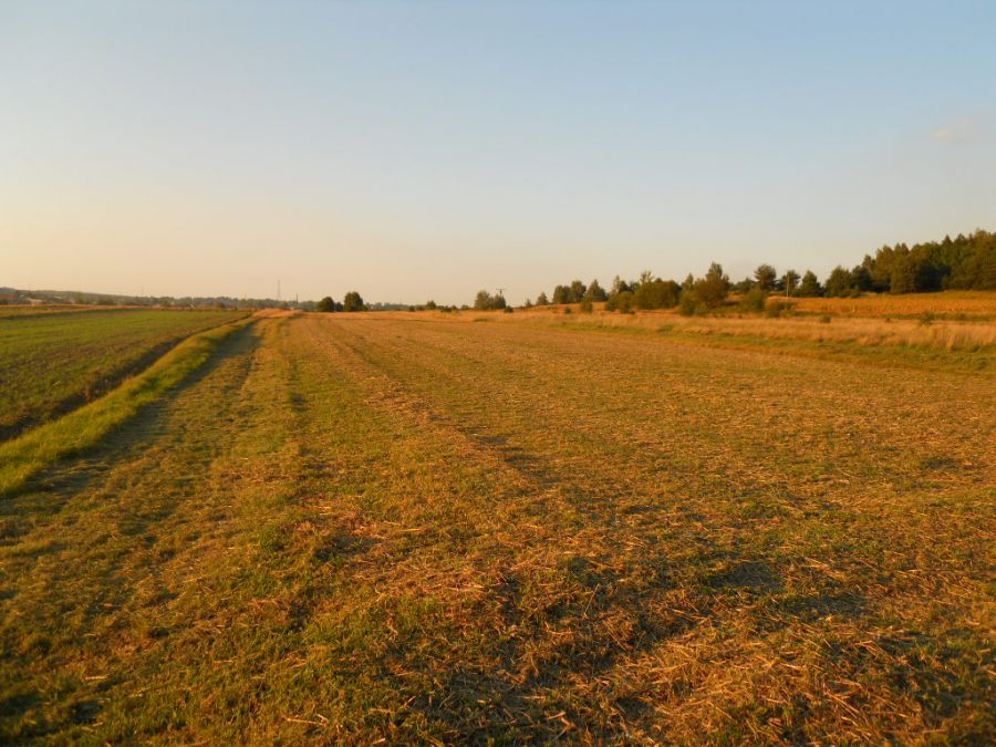 Działka budowlana Mysłowice