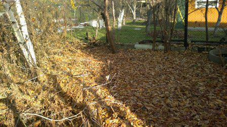 Dom Sosnowiec