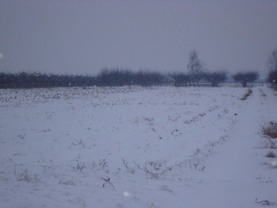 Działka budowlano-rolna Bednary-Wieś