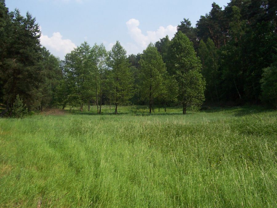Działka rekreacyjna Drezdenko