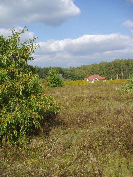 Działka budowlana Henryków-Urocze