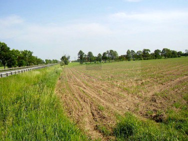 Działka rolna Sochaczew
