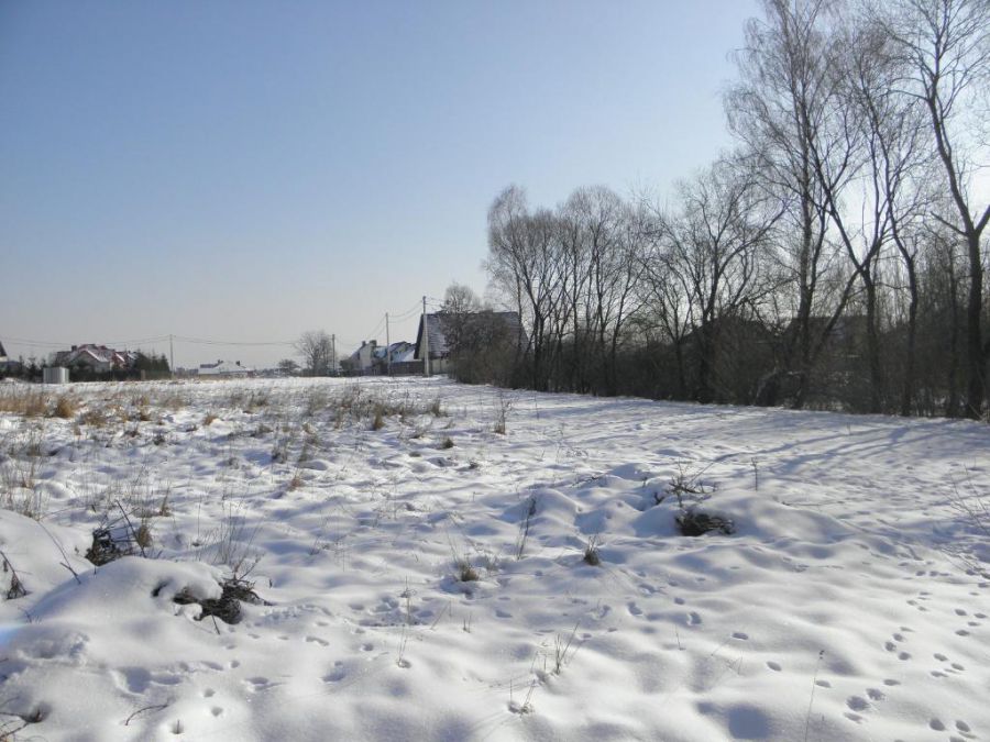 Działka Sitkówka-Nowiny