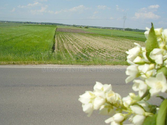 Działka budowlana Leszno