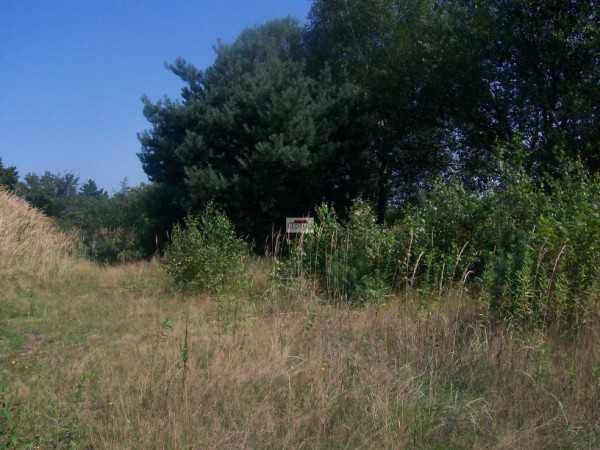 Działka budowlana Mysłowice