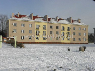 Mieszkanie TRZEBIATÓW OKOLICA - 2,5 kilometra od centrum Trzebiatowa ładne 3 pokoje 62,60 m2