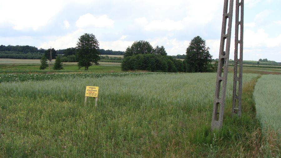 Działka budowlano-rolna Teodozjów