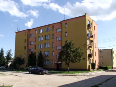 Mieszkanie Ostrówek