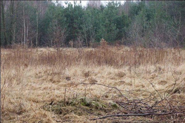 Działka budowlano-rolna Łódź
