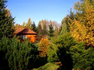 Dom Radachówka