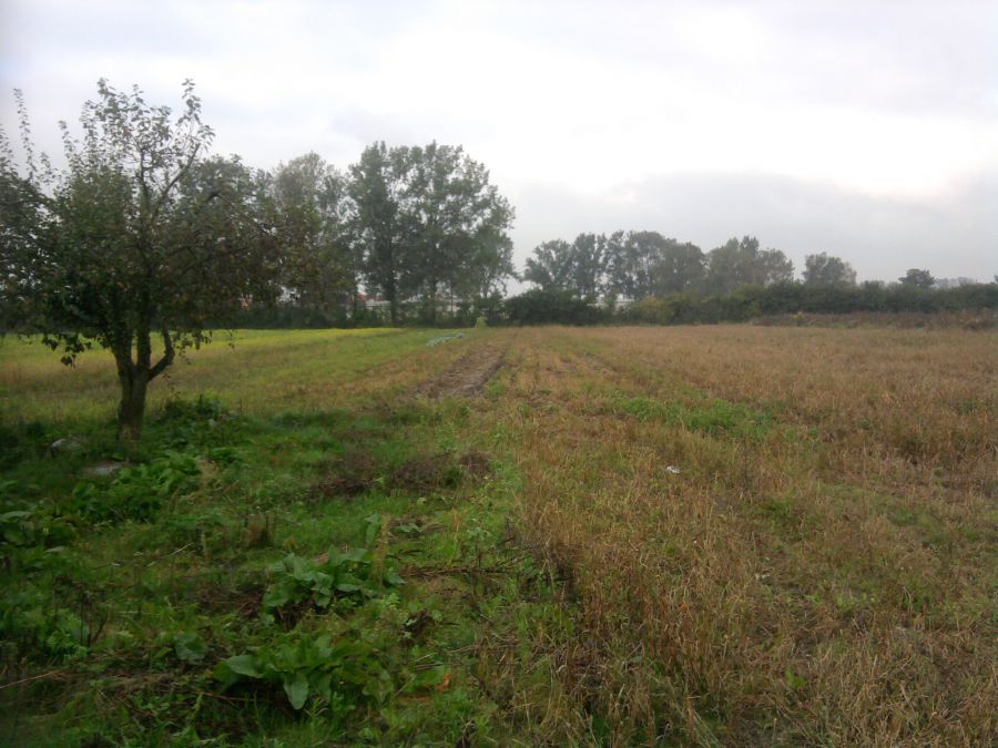 Działka budowlana warszawa