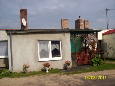 Dom Gałęzów