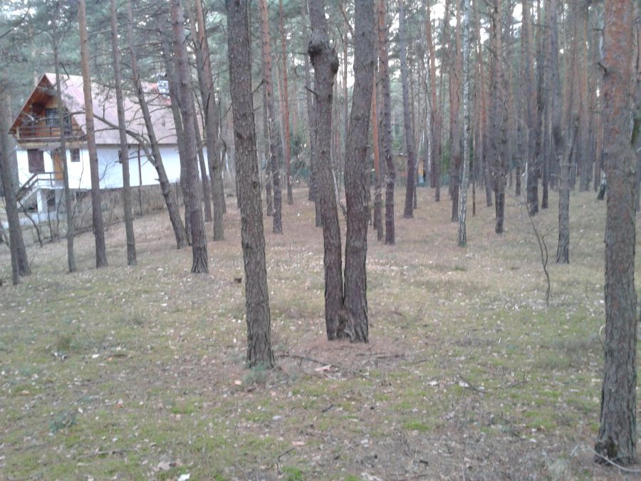 Działka leśna Emów