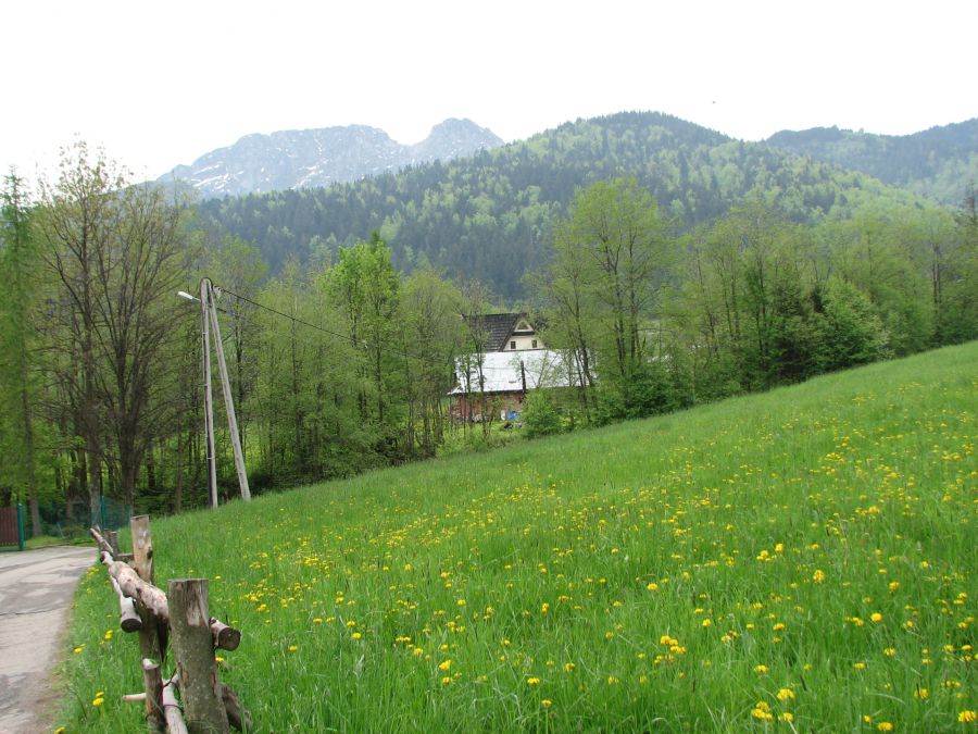 Działka budowlana Zakopane