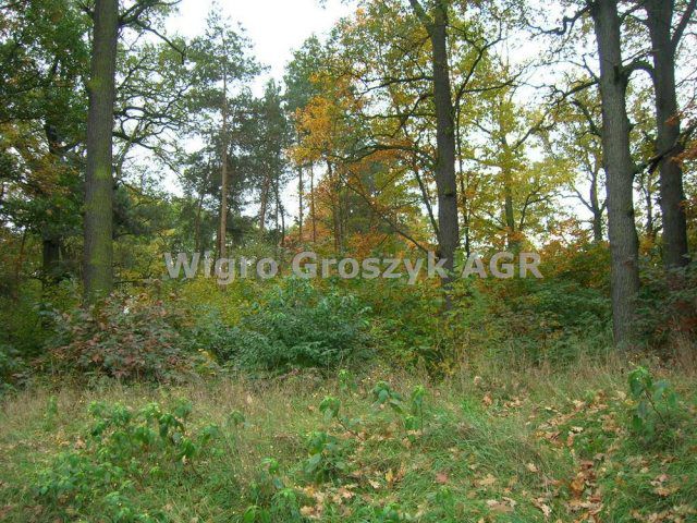 Działka budowlana Warszawa