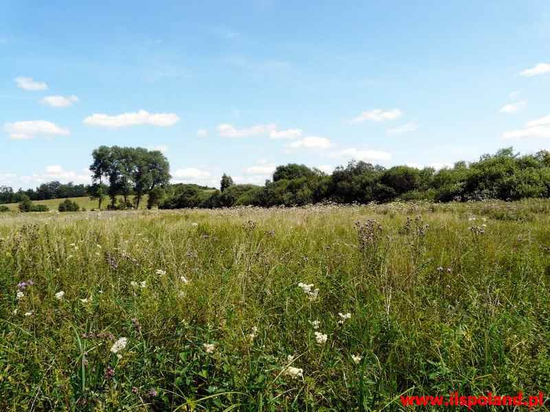 Działka rekreacyjna Męcidół