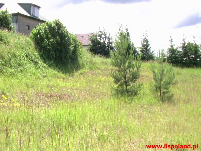 Działka budowlana Wołczkowo