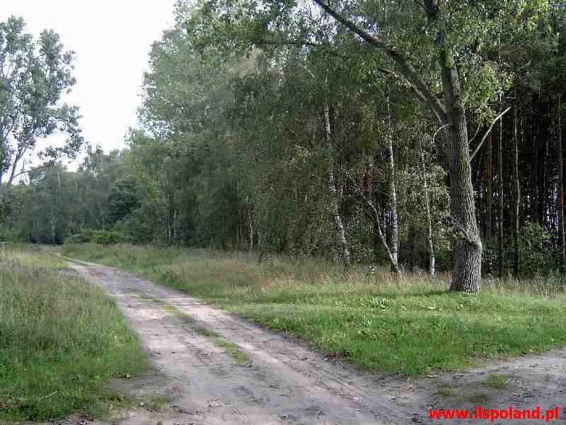 Działka budowlana Żółwia Błoć