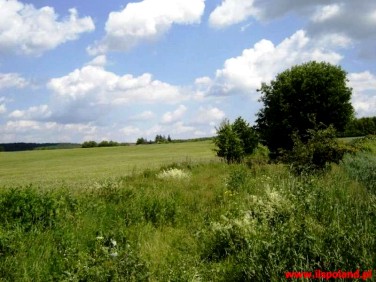 Działka budowlana Nowe Laski sprzedam