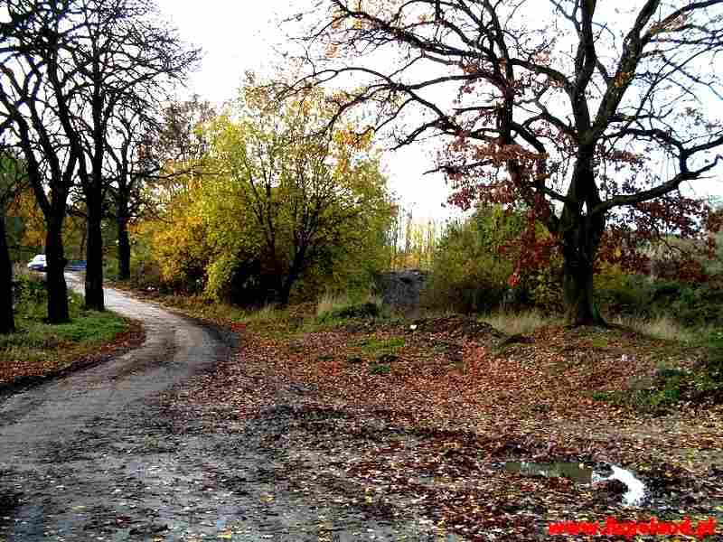 Działka budowlana Szczecin