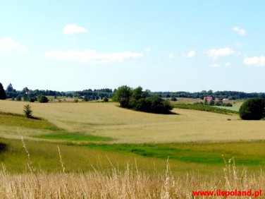 Działka budowlana Małobór