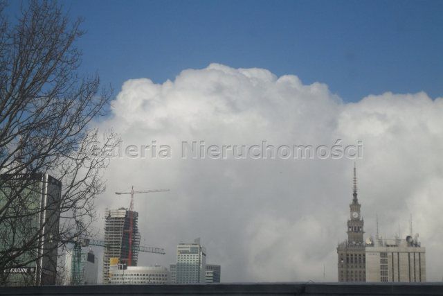 Lokal Warszawa