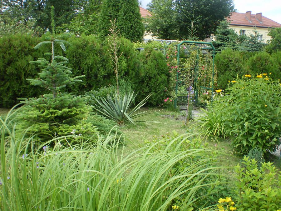 Działka rekreacyjna Katowice